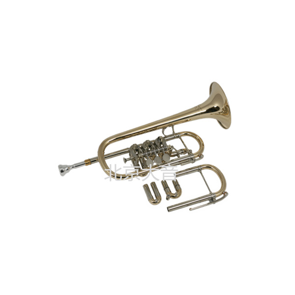 瑞寇 T053EsX Eb/D小號